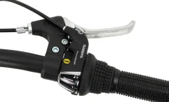 Actionbikes Motors Actionbikes Kinderfahrrad Arrow 20 Zoll, Gangschaltung, V-Brake-Bremsen, verstellbar, Diamantrahmen Online
