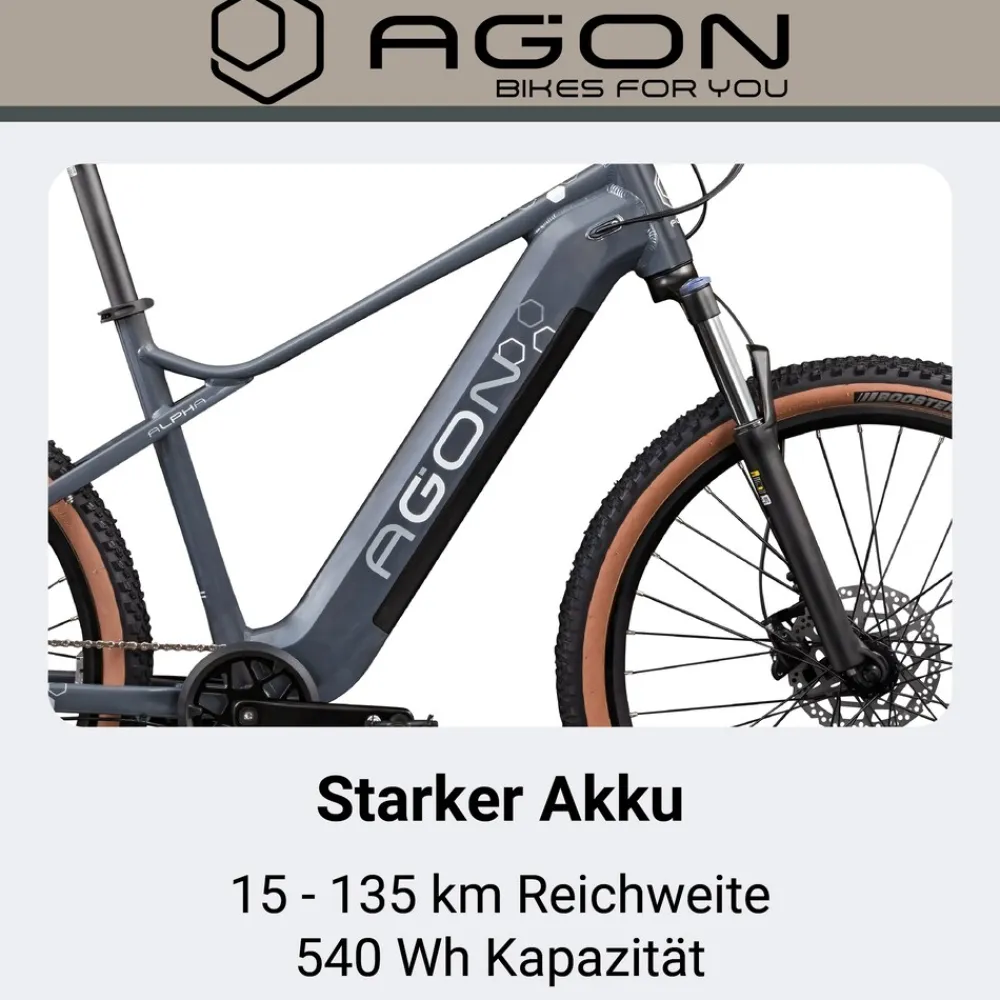 Agon Alpha E Bike Mountainbike Herren 160 - 185 cm Pedelec 27,5 Zoll Hardtail MTB Trail mit Ananda Motor 10 Gang 540 Wh arctic fire black Online