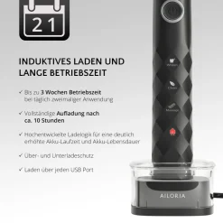 USB-Schallzahnbürste SHINE BRIGHT SET ^ AILORIA Hot