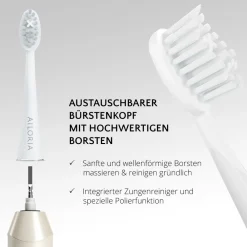 AILORIA USB-Schallzahnbürste SHINE BRIGHT weiß Hot