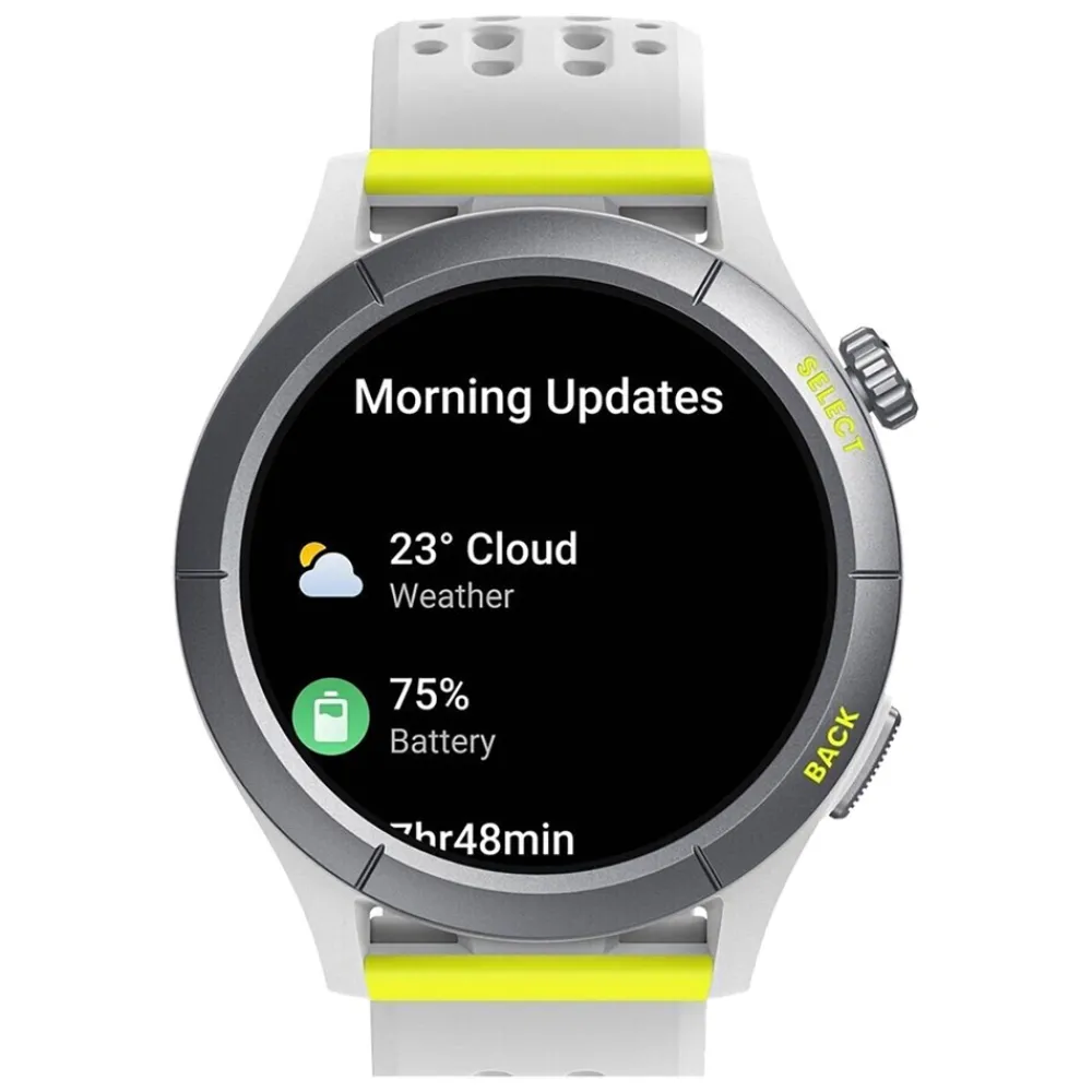 Cheetah (Round) grau Smartwatch ^ Amazfit New
