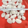 180kg Polierter Kiesel Flusskiesel Kieselsteine Gartenkies Zierkies weiß ^ Aquagart New