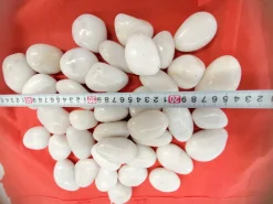 Aquagart 40kg Polierter Kiesel Flusskiesel Kieselsteine Gartenkies Zierkies weiß Sale