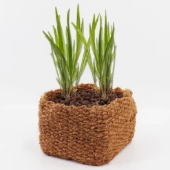 Aquagart 2 Kokos P?anzkorb 20 x 20 x 15cm Teichkorb für Ufermatte & Böschungsmatte Discount