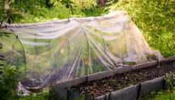 7m Gartenfolie Gewächshausfolie UV 5 Frühbeetfolie Treibhausfolie 6m breit ^ Aquagart Clearance