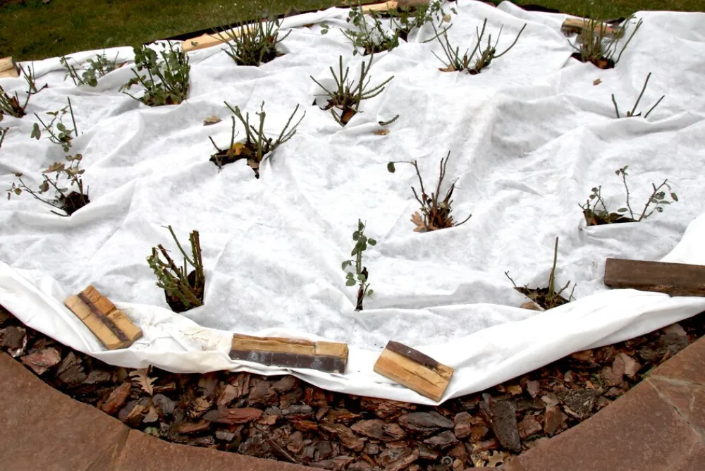 Aquagart 150m² Gartenvlies Unkrautvlies Drainagevlies 150g 2m br Sale