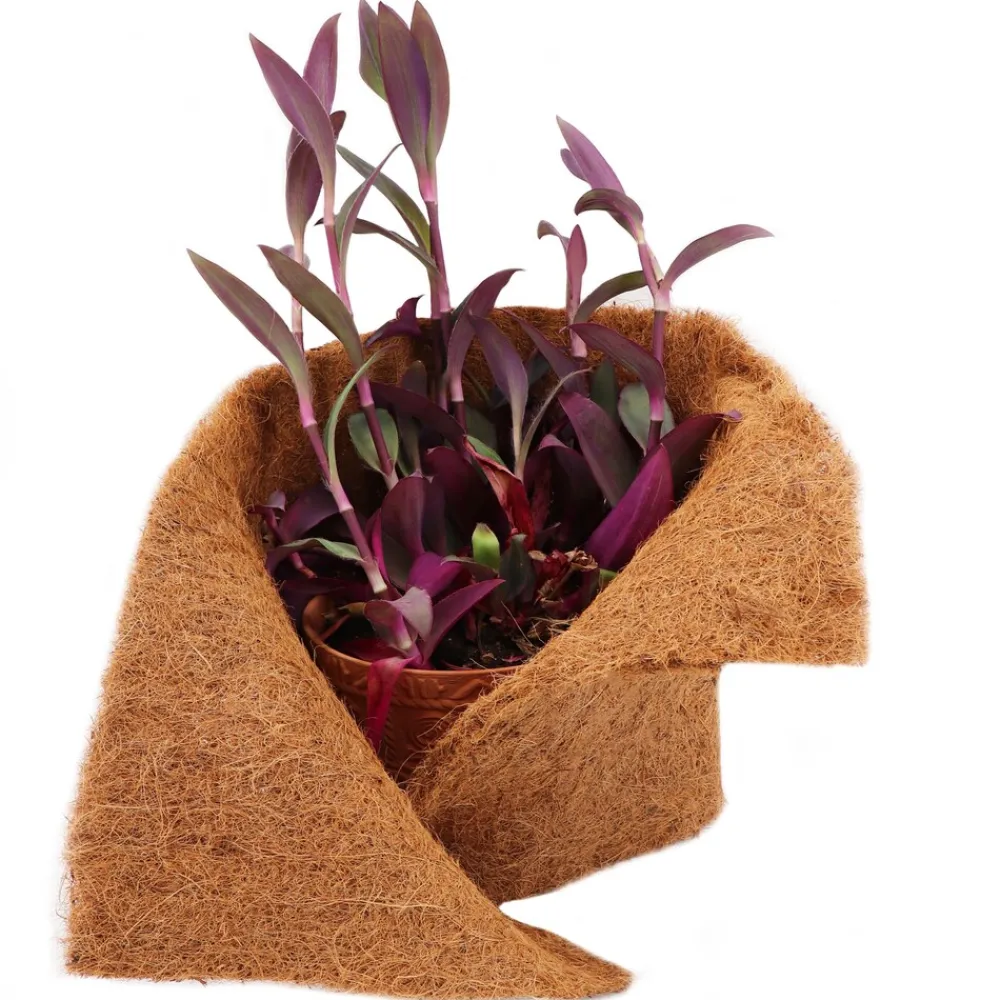 Aquagart 2m Kokosmatte Winterschutz Böschungsmatte Kokosfasermatte 800g/m² 0,5m breit Clearance