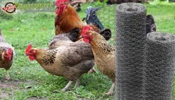 140m Sechseckgeflecht Zaun Kaninchendraht Hasengitter Hasendraht 100cm 25mm ^ Aquagart Outlet