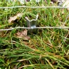 10 W-Profil Zaunanker Erdanker für Wildzaun Forstzaun Weidezaun 70cm ^ Aquagart New