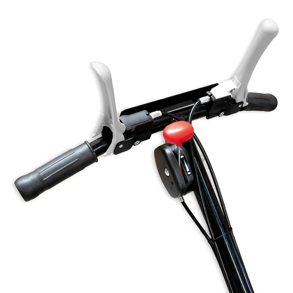 BAMATO Mulchmäher GM-200 mit LONCIN Motor Sale