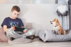 Hundebett LUPI Hundesofa Hundekissen waschbar ^ BedDog Discount