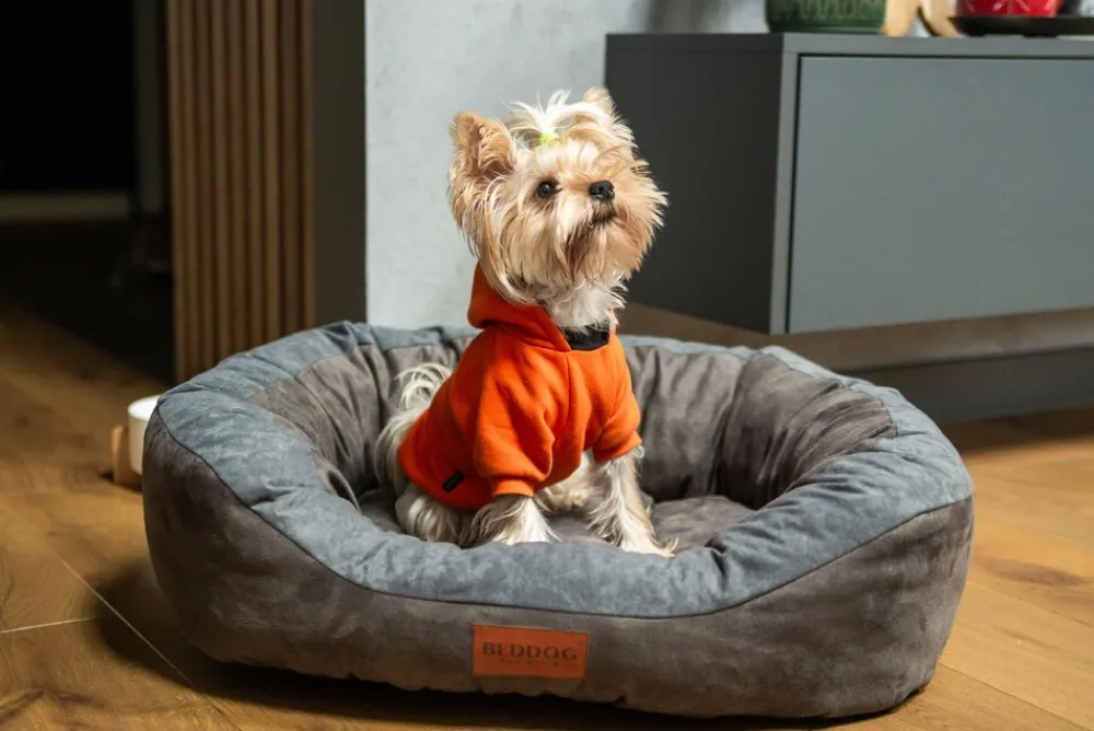 PRINS PREMIUM Hundebett aus strapazierfähigem Aicante-Gewebe ^ BedDog Outlet