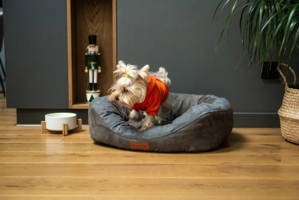 PRINS PREMIUM Hundebett aus strapazierfähigem Aicante-Gewebe ^ BedDog Outlet