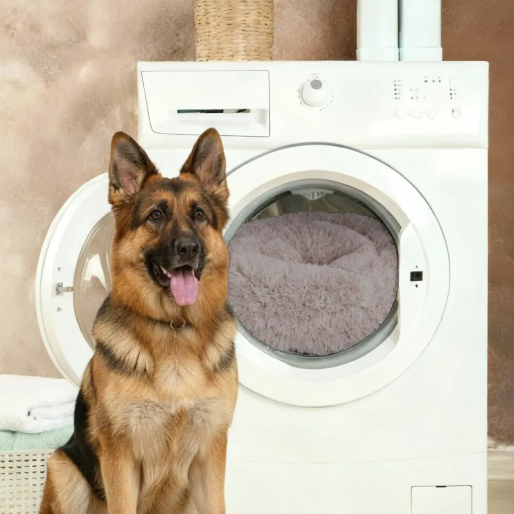 BENNO ® Hundebett BALU Donut 60x60x16 cm, waschbar, rutschfest, Polyester, Polypropylen-Füllung, inkl. Kauknochen Outlet