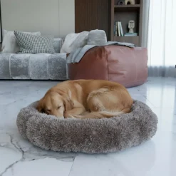 BENNO ® Hundebett BALU Donut 60x60x16 cm, waschbar, rutschfest, Polyester, Polypropylen-Füllung, inkl. Kauknochen Outlet