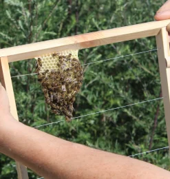 Dobar Bienenkiste für Honig-Bienen zum Imkern - versch. Ausführungen Hot