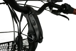 Blaupunkt MINNA Falt E-Trike Tiefeinsteiger New