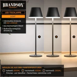 Brandson LED Tischleuchte mit Akku, Kabellos, mit Touch, Helligkeit stufenlos dimmbar, aus Metal, Dimmfunktion; Ein-/Ausschalter; Farbwechsel; mehrere Helligkeitsstufen, LED fest integriert, Kaltweiß, Neutralweiß, Warmweiß, Tischlampe, Nachttischlampe, Les Hot