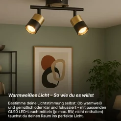 Brilliant Maribel Spotrohr 2-flammig - Gebürstetes Messing & Schwarz | Schwenkbare Köpfe | Dimmbar | Retro-Design | Für Decken- & Wandmontage Hot