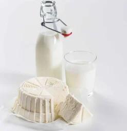 Börner Cheesemaker, Cheese Maker Käse Frischkäse zubereiten Rezeptbuch cheese set Selbst machen Discount