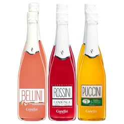 Weinpaket Aperitvo Fruchtexplosion 5,0 % vol 6 x 0,75 Liter ^ Canella Discount