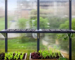 Canopia Regalset Leaves Design 2er Pack ^ PALRAM