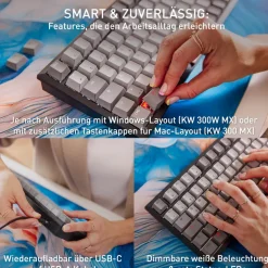 TAS Keyboard KW 300 MX ^ Cherry Outlet