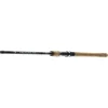 Exceler Trad. 2.40m 20-60g Spinnrute ^ Daiwa Hot