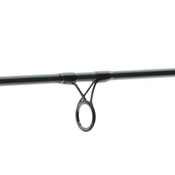 Exceler Trad. 2.40m 20-60g Spinnrute ^ Daiwa Hot