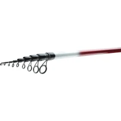 Daiwa Ninja Bolo 5m 25g Bolognese-Rute New