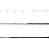 Daiwa Powermesh CF Spin 2,40m 135g Wels-Spinnrute Best