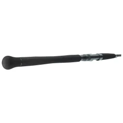 Daiwa Powermesh CF Spin 2,40m 135g Wels-Spinnrute Best