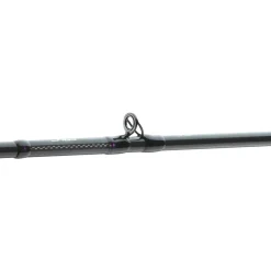 Daiwa Prorex AGS BC 2.15m 9-32g Baitcast-Rute Clearance