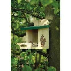 Dobar Eichhörnchen-Futterstation Online