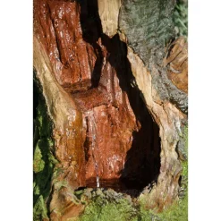 Dobar Polyresin-Brunnen mit Pumpe und LED´s, Baumstamm gebogen Outlet
