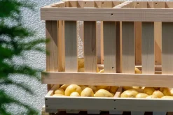 Dobar Vorratsbehälter aus Holz - versch. Ausführungen New