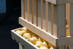Dobar Vorratsbehälter aus Holz - versch. Ausführungen New