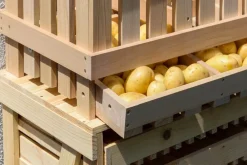 Dobar Vorratsbehälter aus Holz - versch. Ausführungen New
