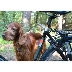 Dobar Walky Dog Plus Fahrradleine Clearance