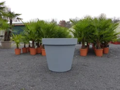 E&K Übertopf grau Ø 80 cm Pflanztopf Blumentopf Pflanzkübel "Ecken und Kanten" Kübel XXL groß ^ Grünwaren