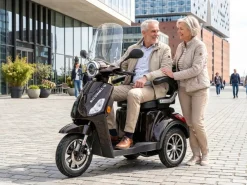 ECONELO E-Seniorenmobil Denia, Lithium-Akku, 3-Rad, 1000 Watt, Schwarz Hot