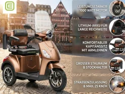 ECONELO E-Seniorenmobil Denia, Lithium-Akku, 3-Rad, 1000 Watt, Schwarz Hot