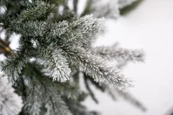 Weihnachtsbaum Sherwood Fichte 180 cm ^ EVERGREEN Hot