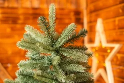 EVERGREEN Weihnachtsbaum Vermont Fichte 180 cm Hot