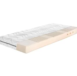 f-a-n-frankenstolz FAN Matratze Megamax Komfort S - versch. Ausführungen - H3 80x200 cm Clearance