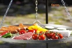 Dreibein Schwenkgrill Viking Ø 60 cm ^ FarmCook Best