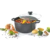 sonstige Fleischtopf mit Glasdeckel 20 cm Delta Sale