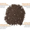 Zitrus- und Mediterranpflanzerde, 60 L Box ^ Floragard New