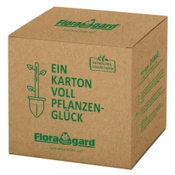 Zitrus- und Mediterranpflanzerde, 60 L Box ^ Floragard New