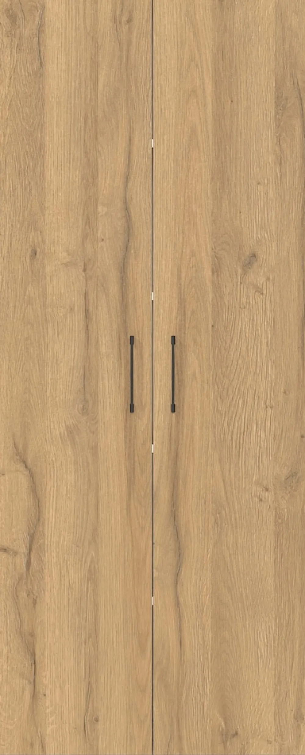 Aktenschrank 4250-559 GW-Profi, in , mit Metallgriffen, 80 x 200 x 40 cm (BxHxT) ^ Germania Discount